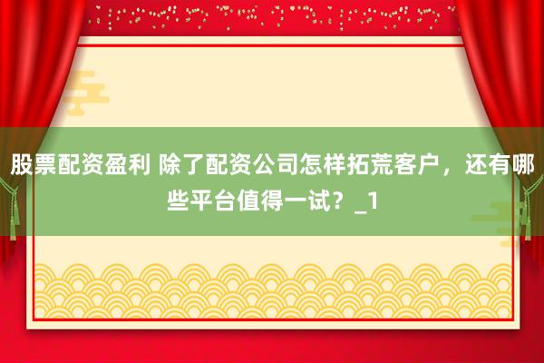 股票配资盈利 除了配资公司怎样拓荒客户，还有哪些平台值得一试？_1