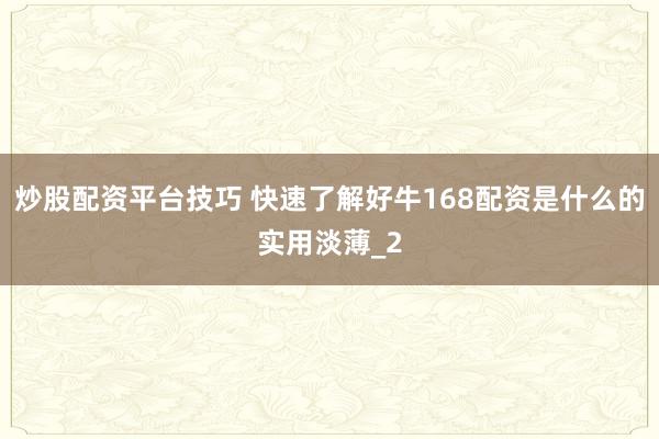 炒股配资平台技巧 快速了解好牛168配资是什么的实用淡薄_2